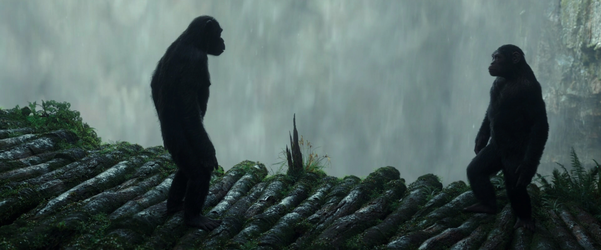 War for the Planet of the Apes (2017) movie still 1678