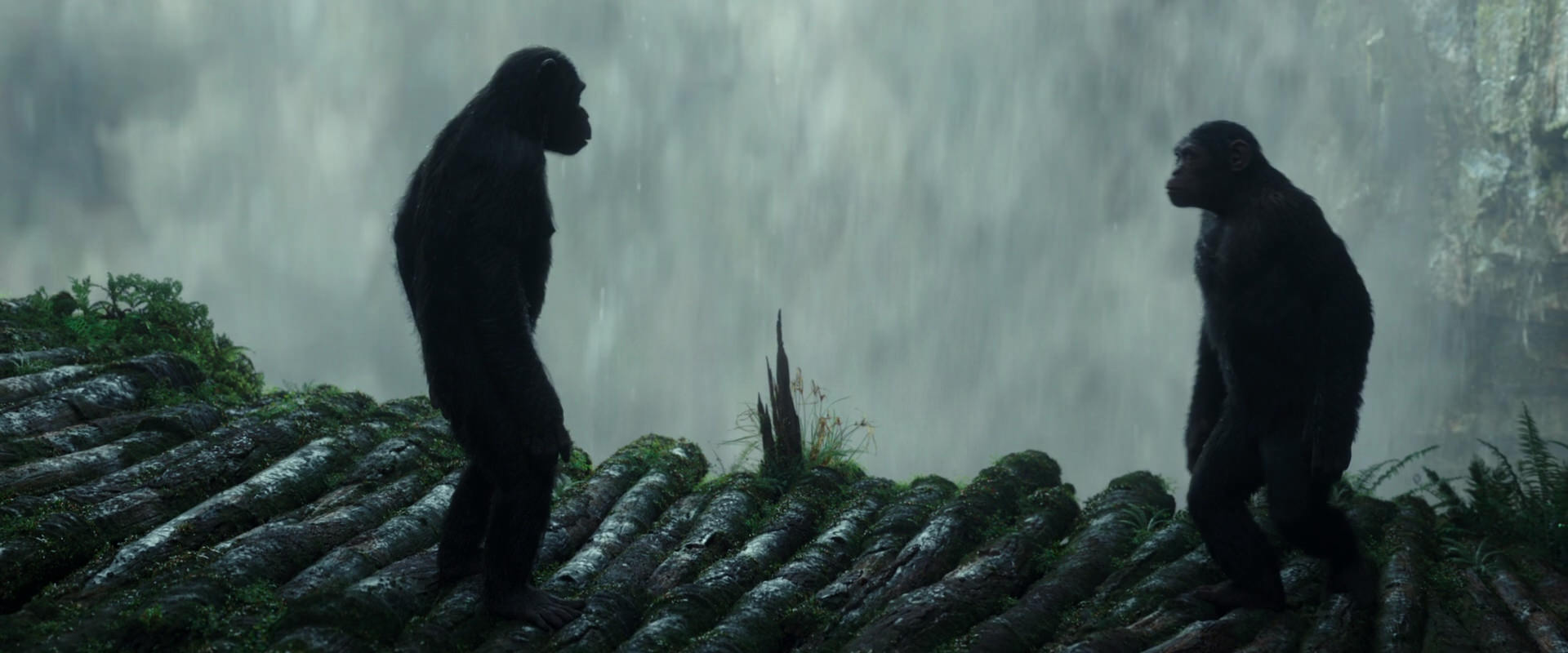 War for the Planet of the Apes (2017) HD screenshot 1679