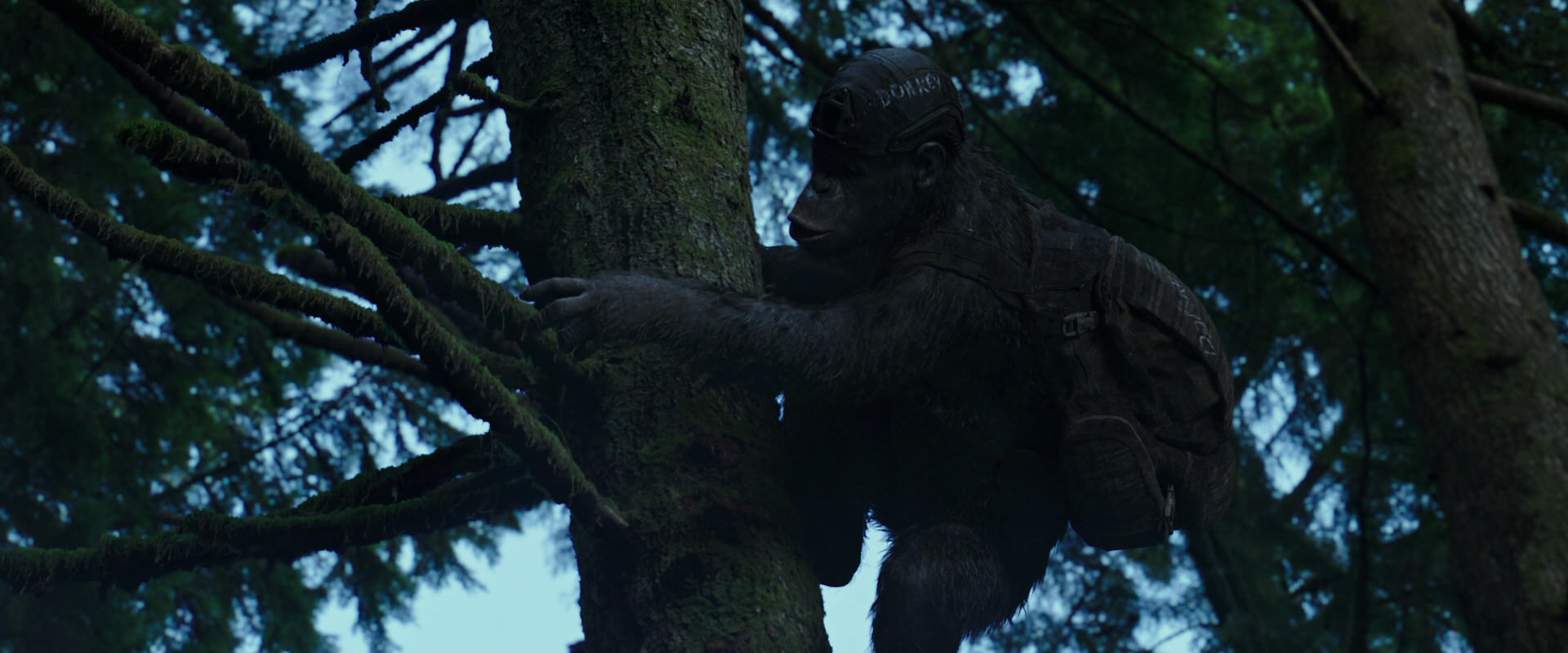 War for the Planet of the Apes (2017) screencap 168