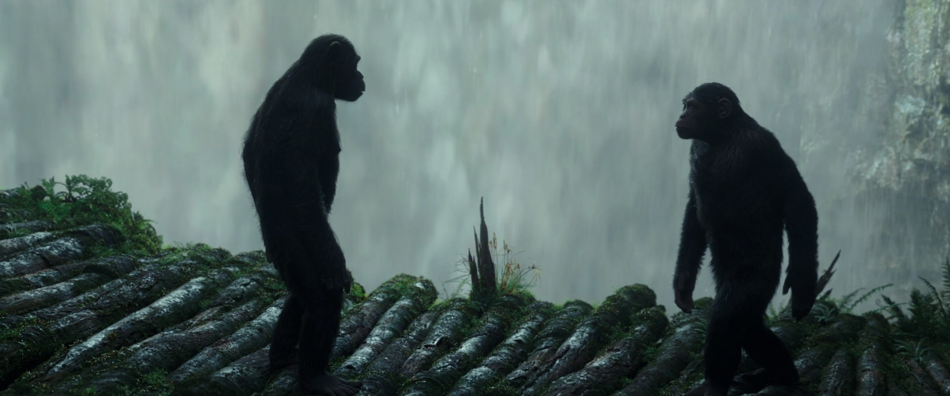 War for the Planet of the Apes (2017) screencap 1680