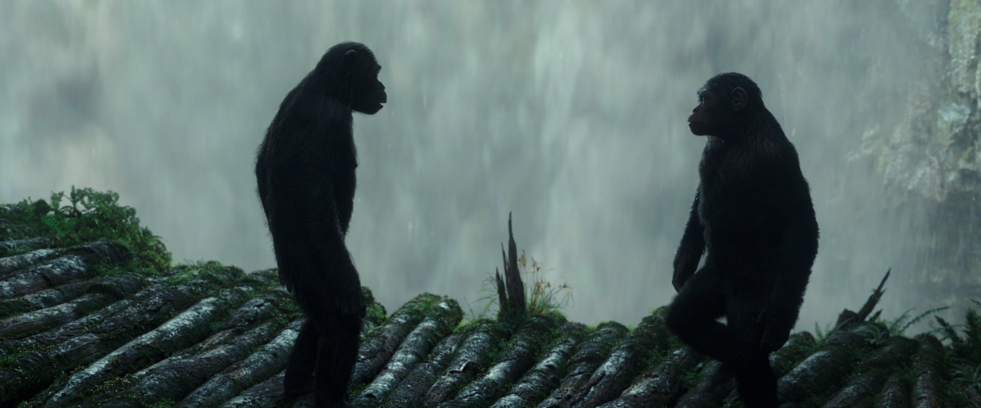 War for the Planet of the Apes (2017) movie still 1681