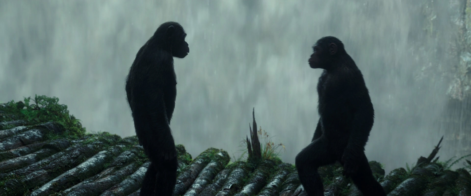 War for the Planet of the Apes (2017) HD screenshot 1682