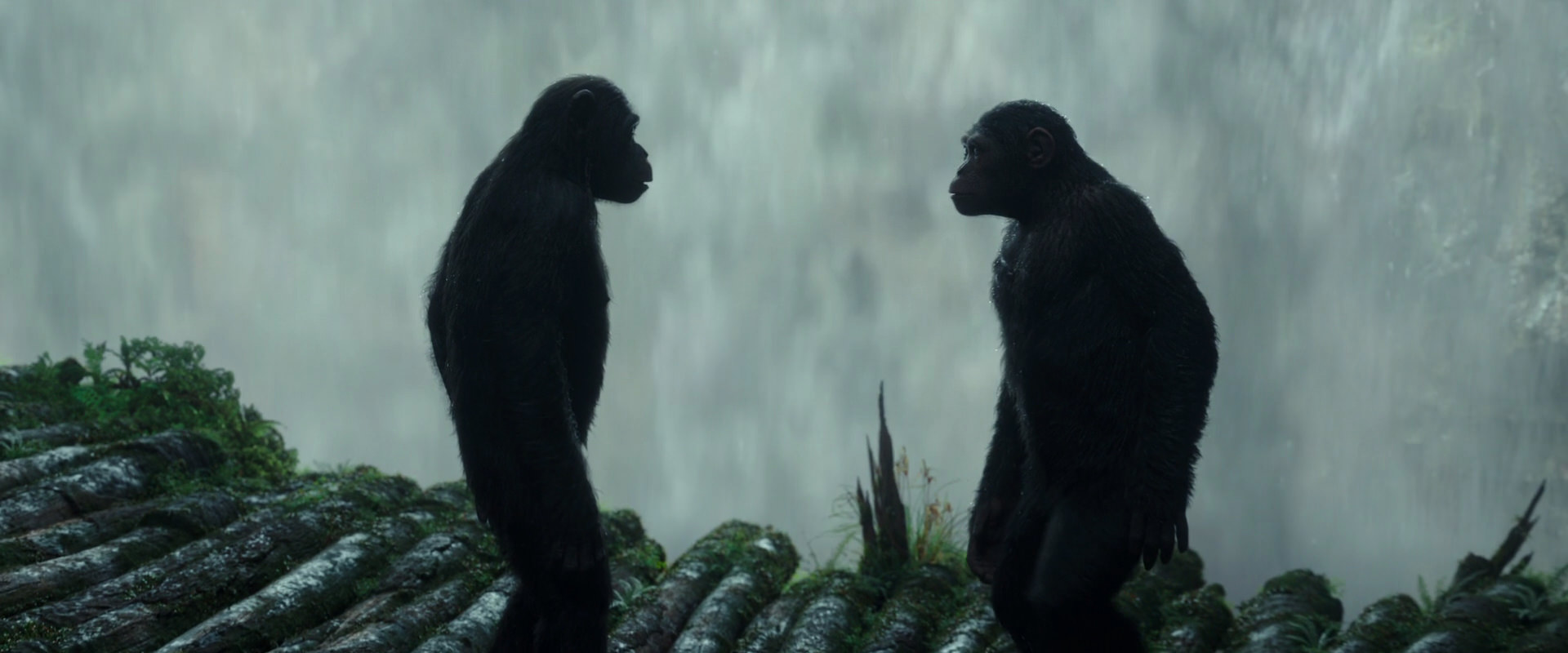 War for the Planet of the Apes (2017) screencap 1683