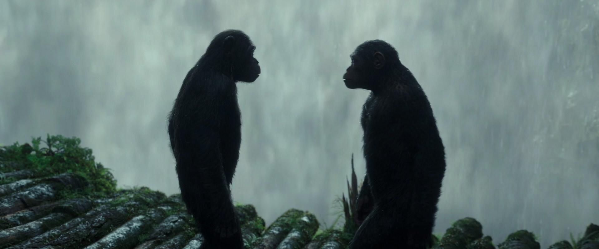 War for the Planet of the Apes (2017) movie still 1684