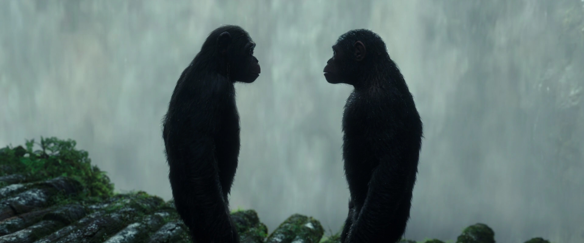 War for the Planet of the Apes (2017) HD screenshot 1685