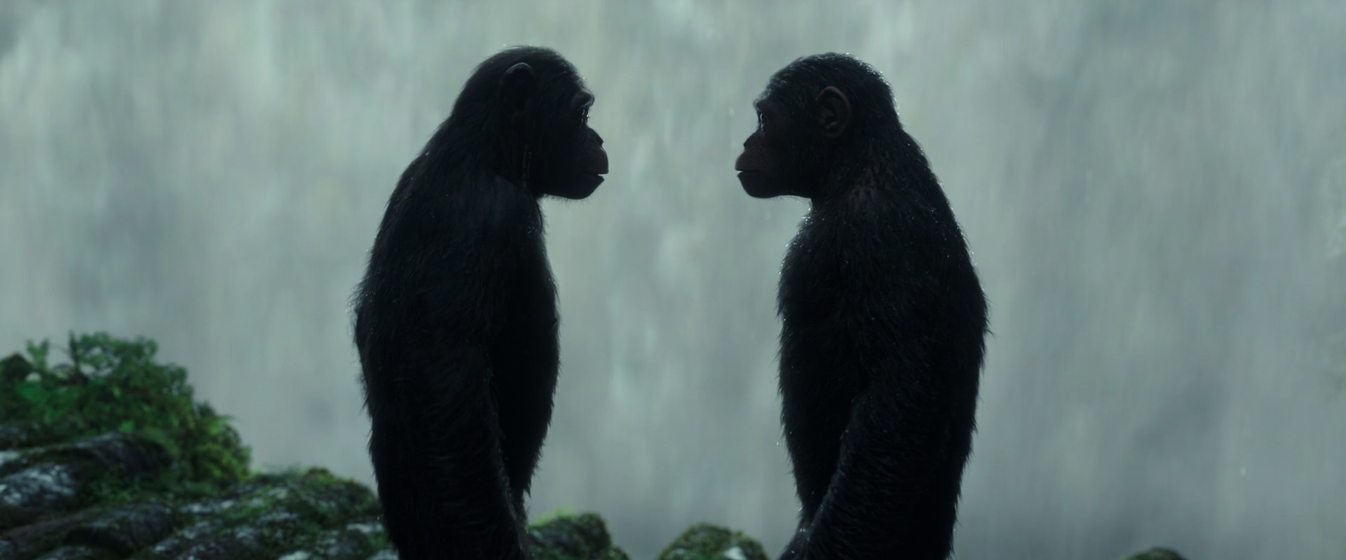 War for the Planet of the Apes (2017) screencap 1686