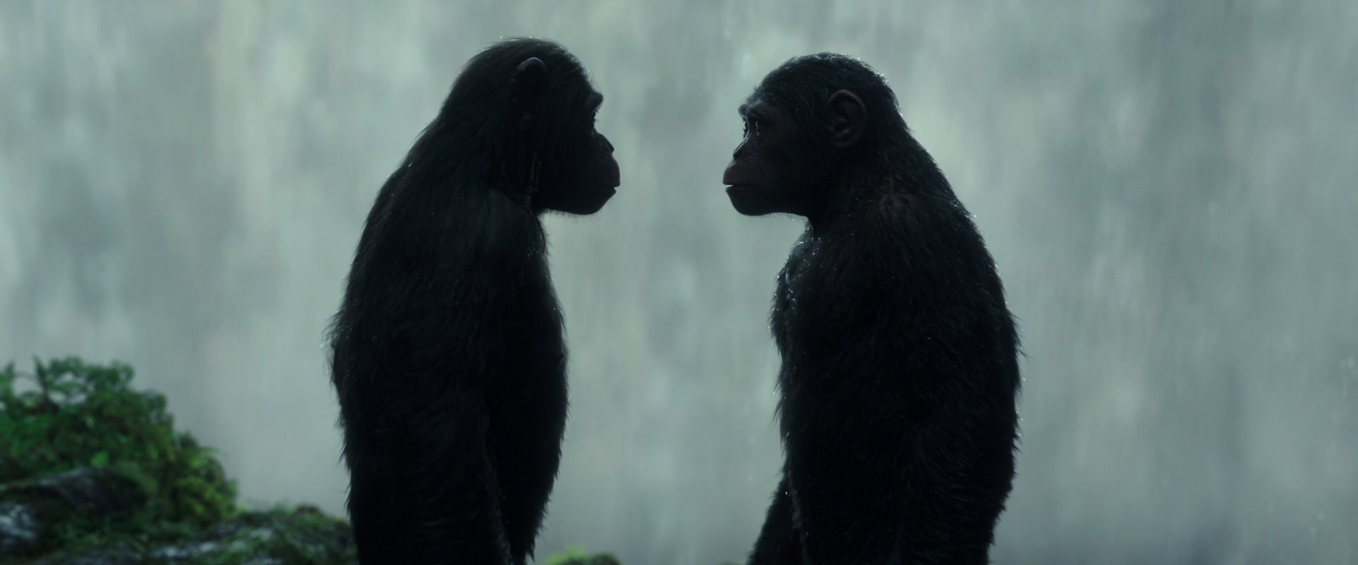 War for the Planet of the Apes (2017) movie still 1687