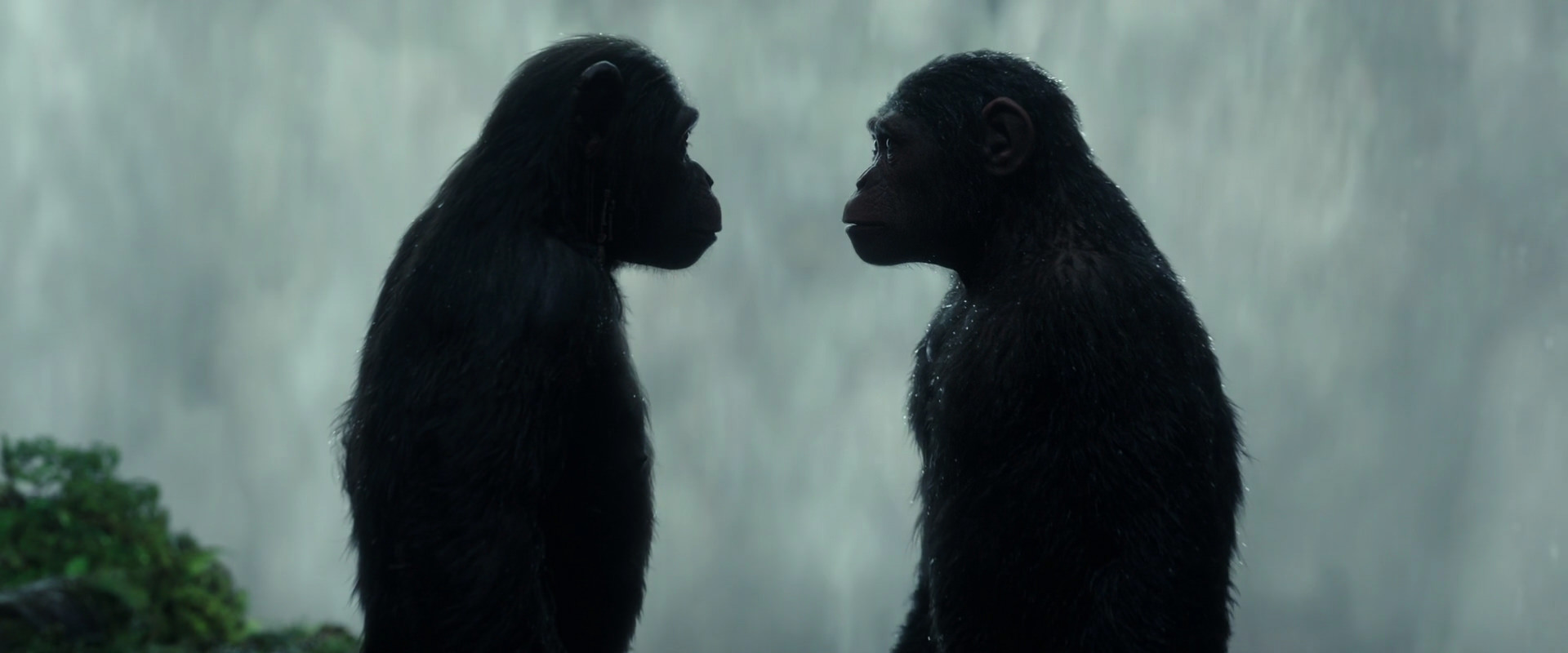 War for the Planet of the Apes (2017) HD screenshot 1688