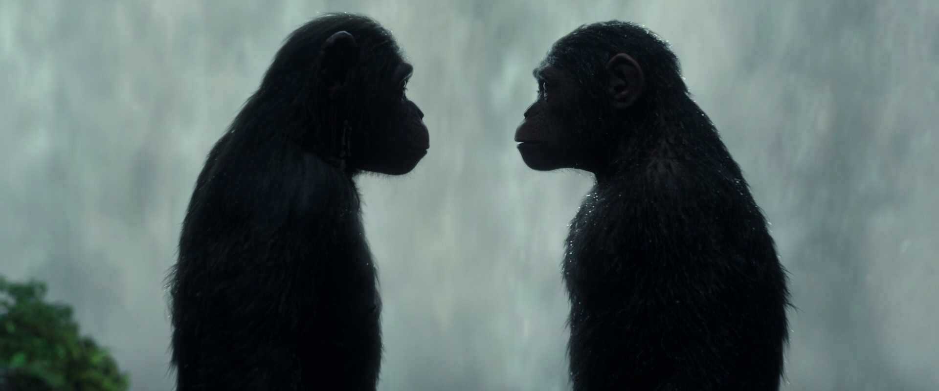 War for the Planet of the Apes (2017) screencap 1689