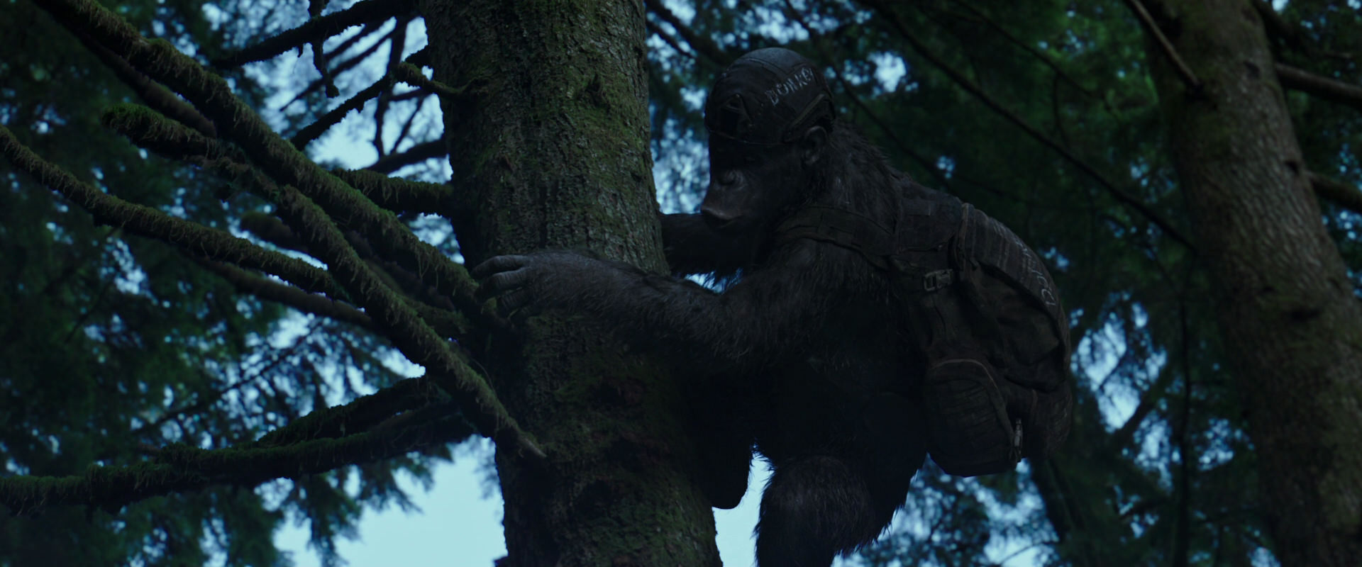 War for the Planet of the Apes (2017) movie still 169
