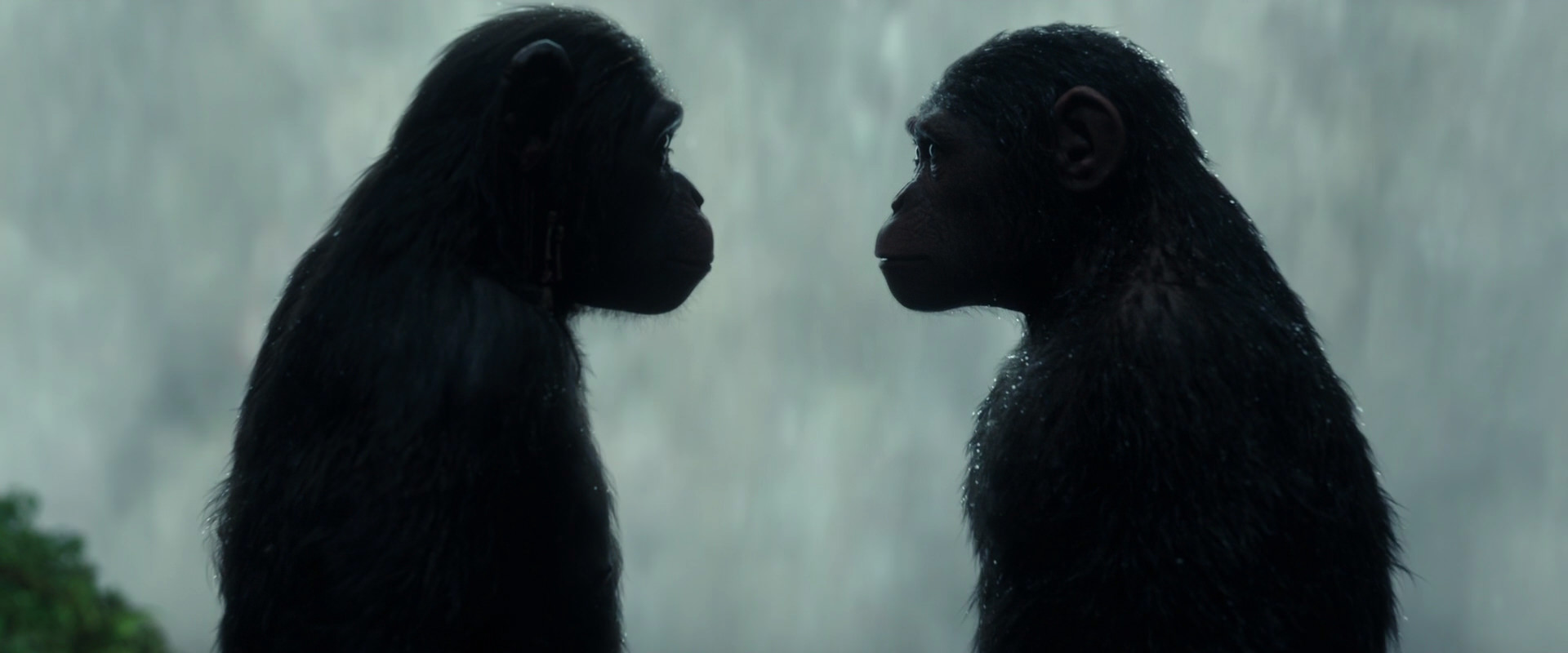 War for the Planet of the Apes (2017) movie still 1690