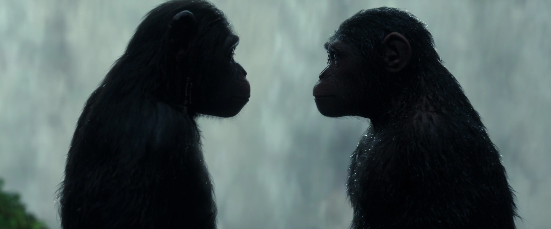 War for the Planet of the Apes (2017) HD screenshot 1691