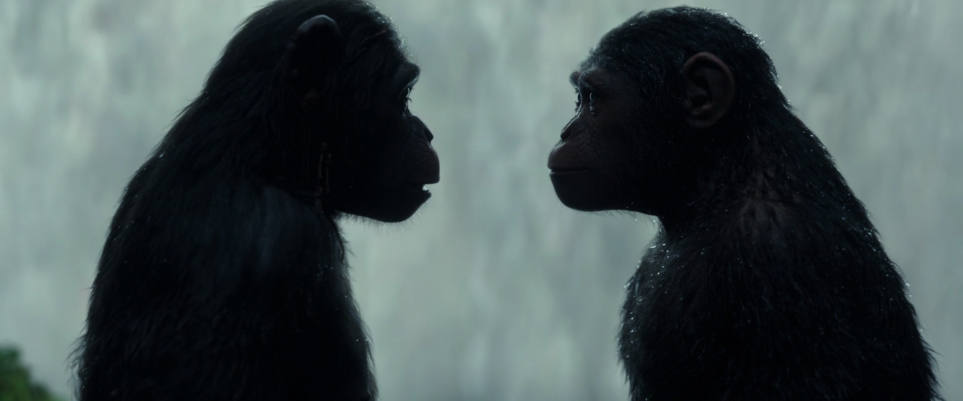 War for the Planet of the Apes (2017) screencap 1692