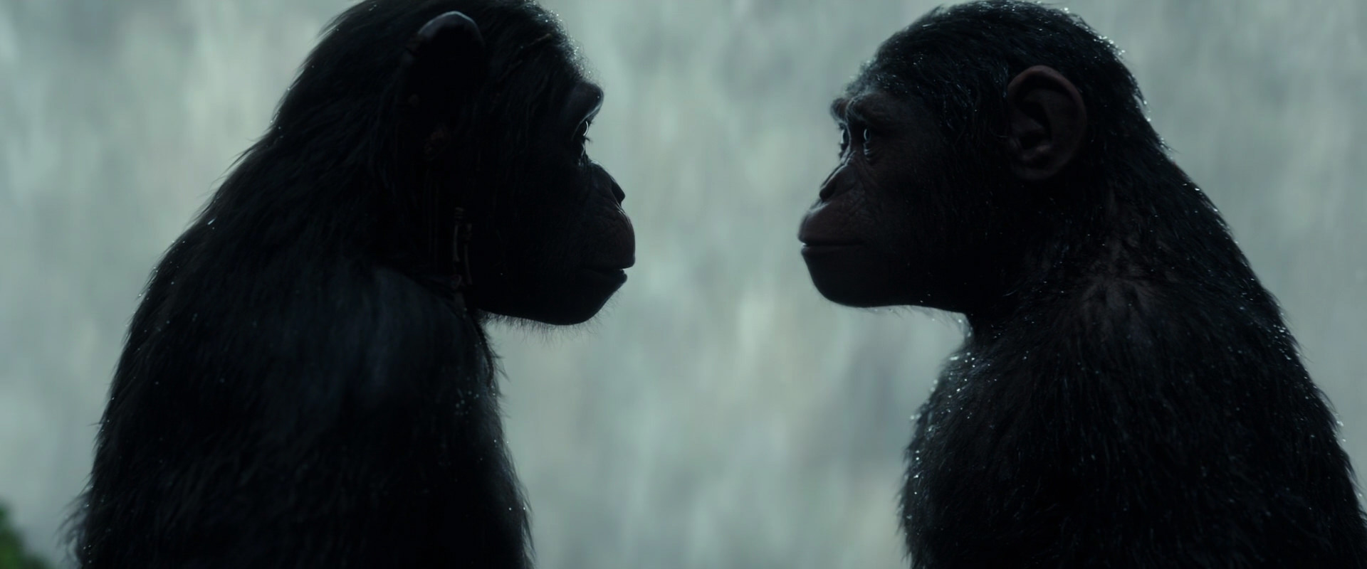War for the Planet of the Apes (2017) movie still 1693