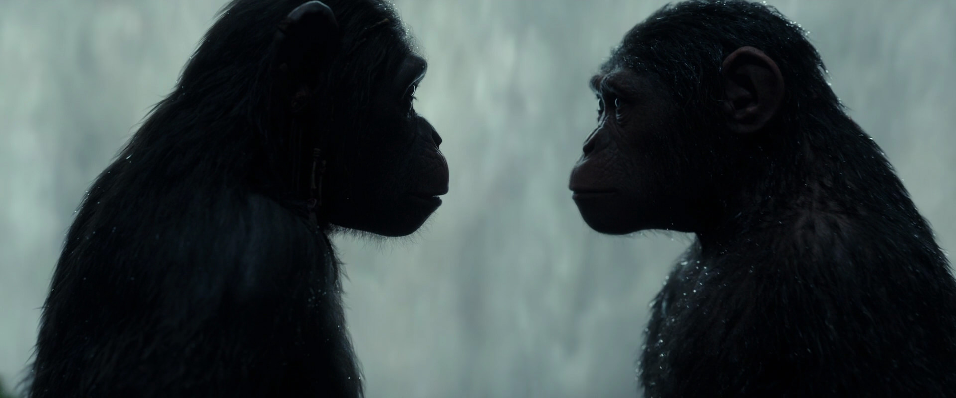 War for the Planet of the Apes (2017) HD screenshot 1694
