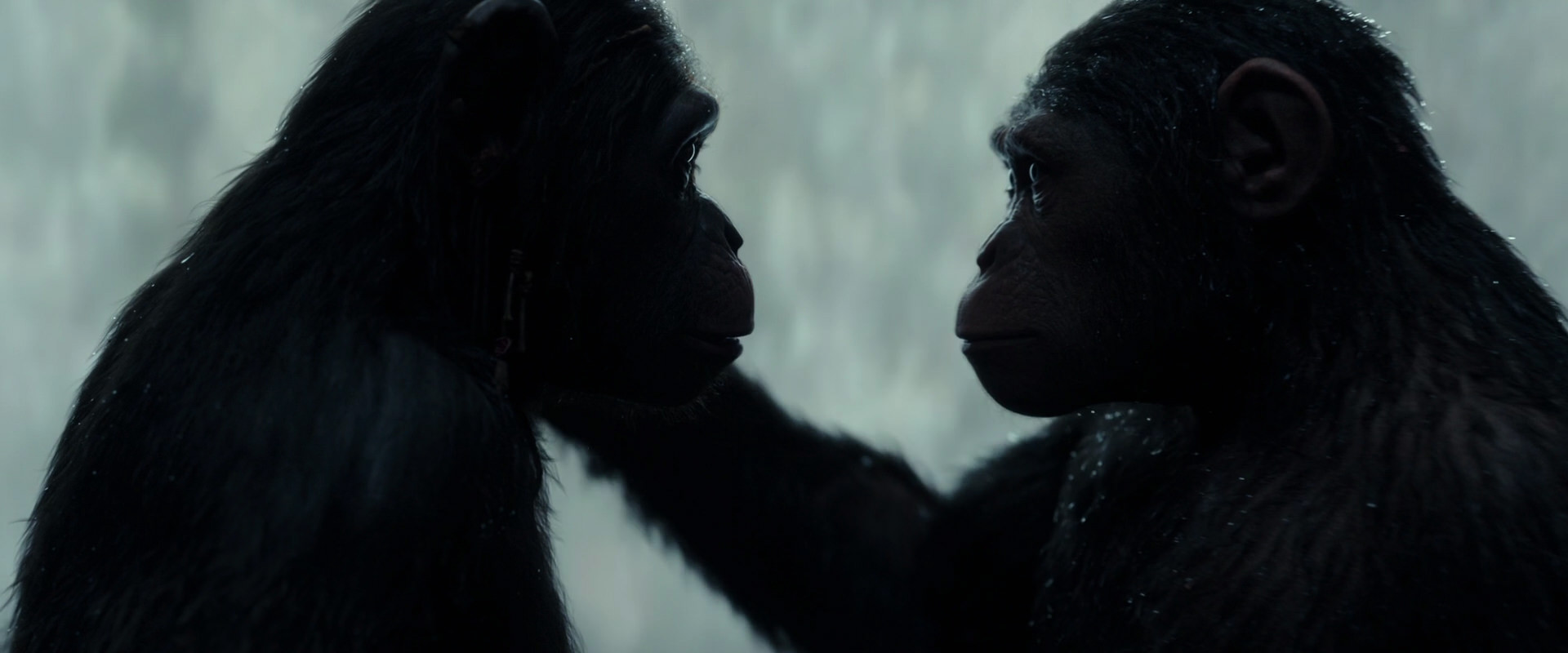 War for the Planet of the Apes (2017) screencap 1695