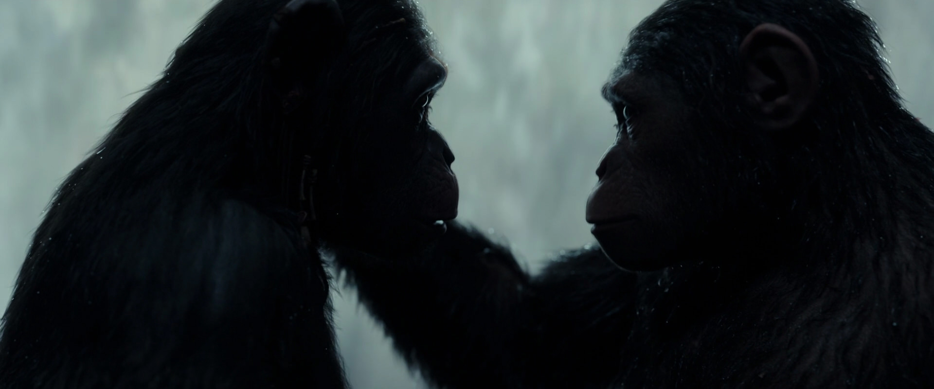 War for the Planet of the Apes (2017) movie still 1696