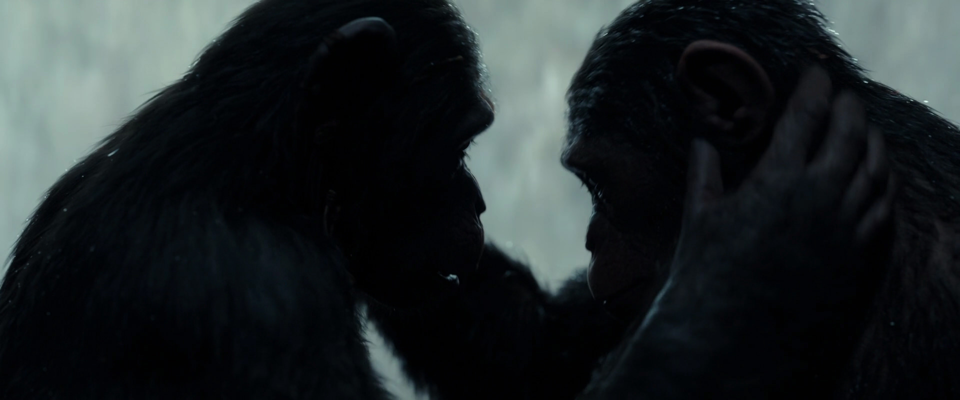 War for the Planet of the Apes (2017) HD screenshot 1697