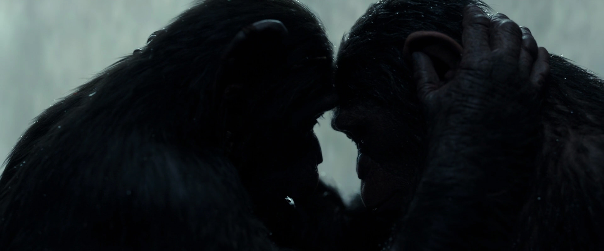 War for the Planet of the Apes (2017) screencap 1698