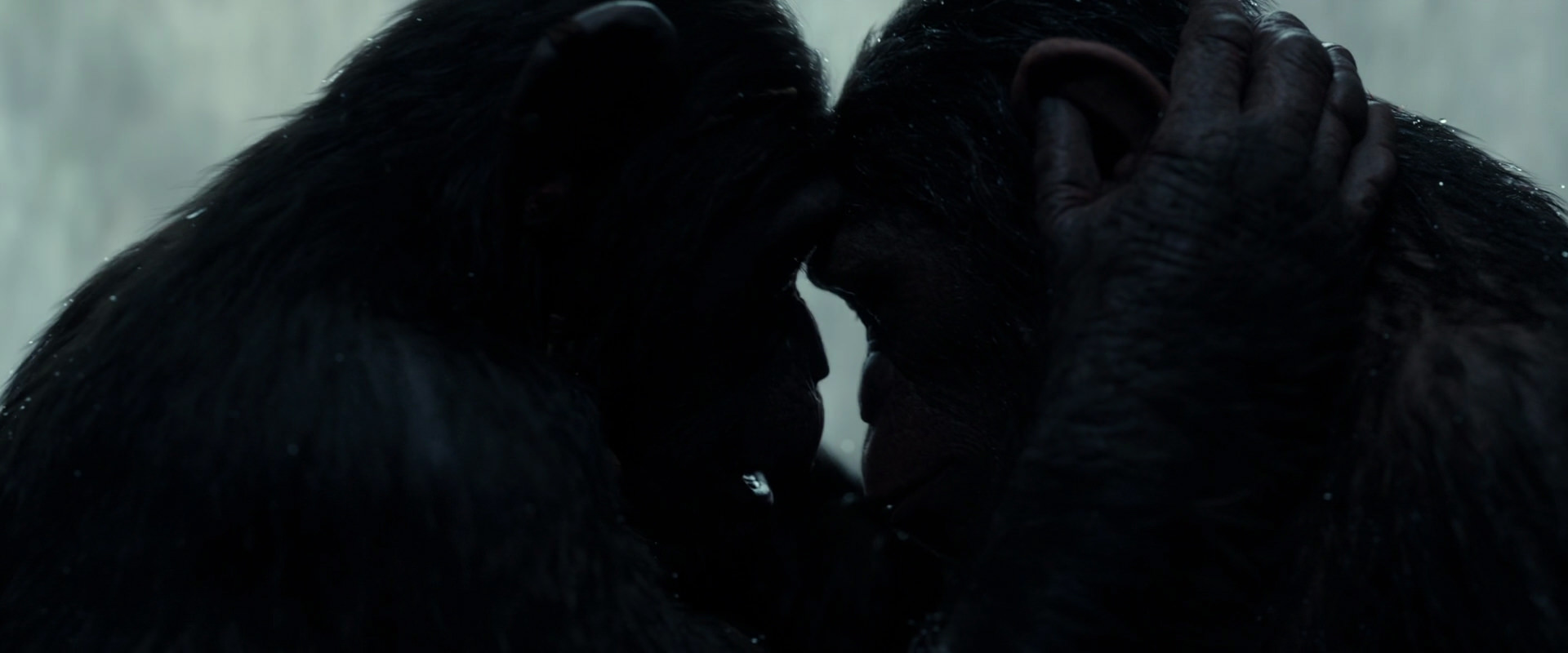 War for the Planet of the Apes (2017) movie still 1699