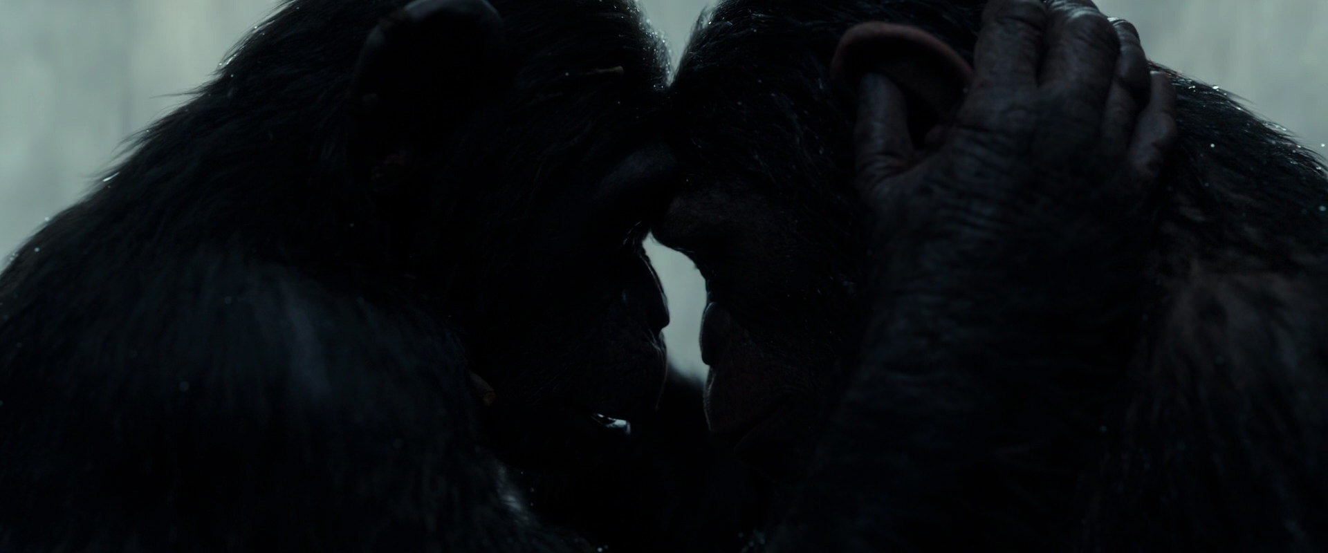 War for the Planet of the Apes (2017) HD screenshot 1700