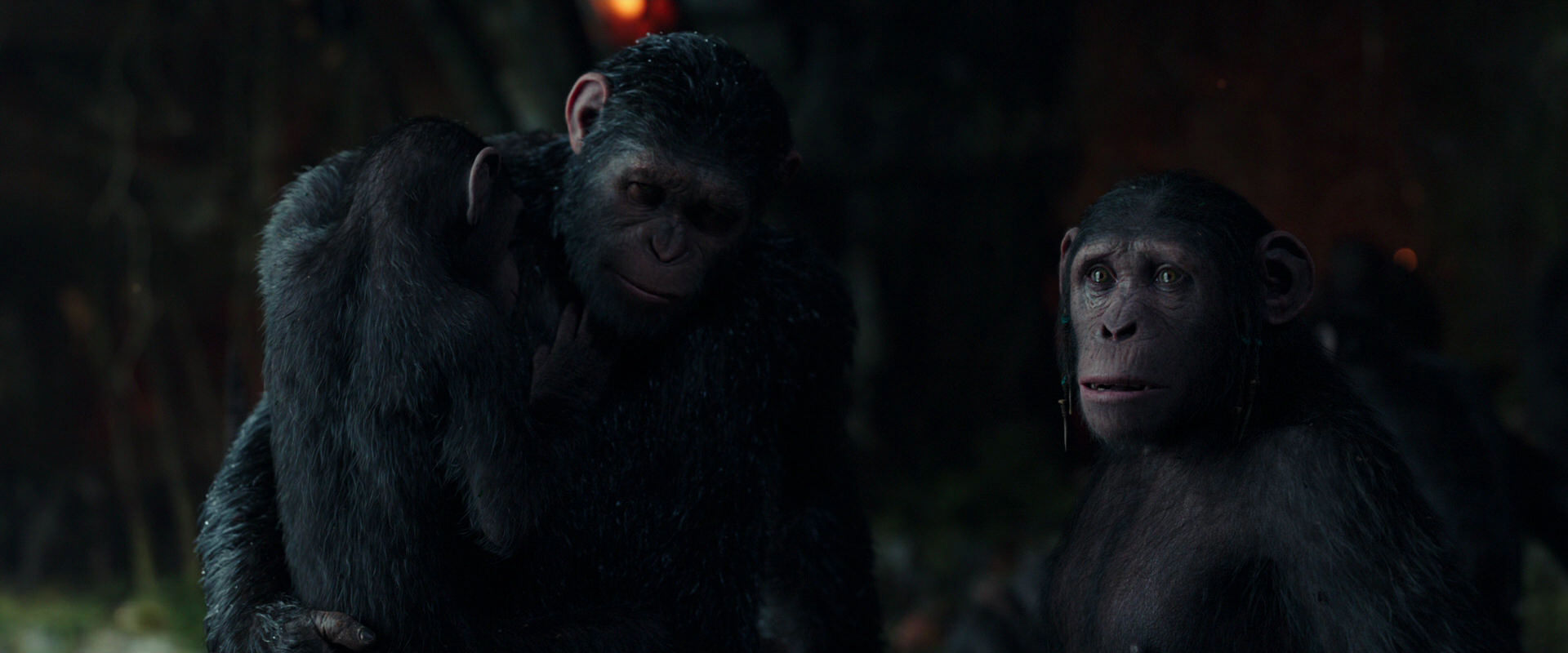 War for the Planet of the Apes (2017) screencap 1701