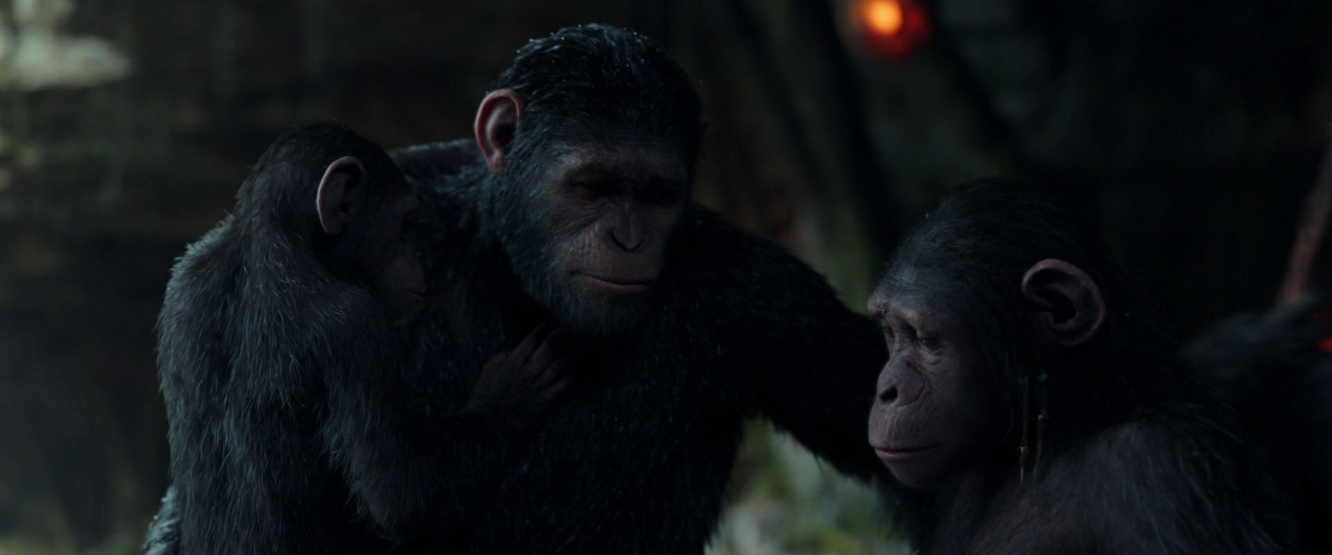 War for the Planet of the Apes (2017) movie still 1708