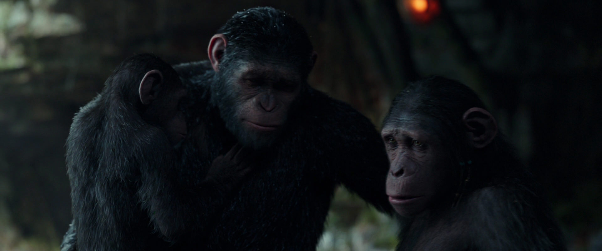 War for the Planet of the Apes (2017) HD screenshot 1709