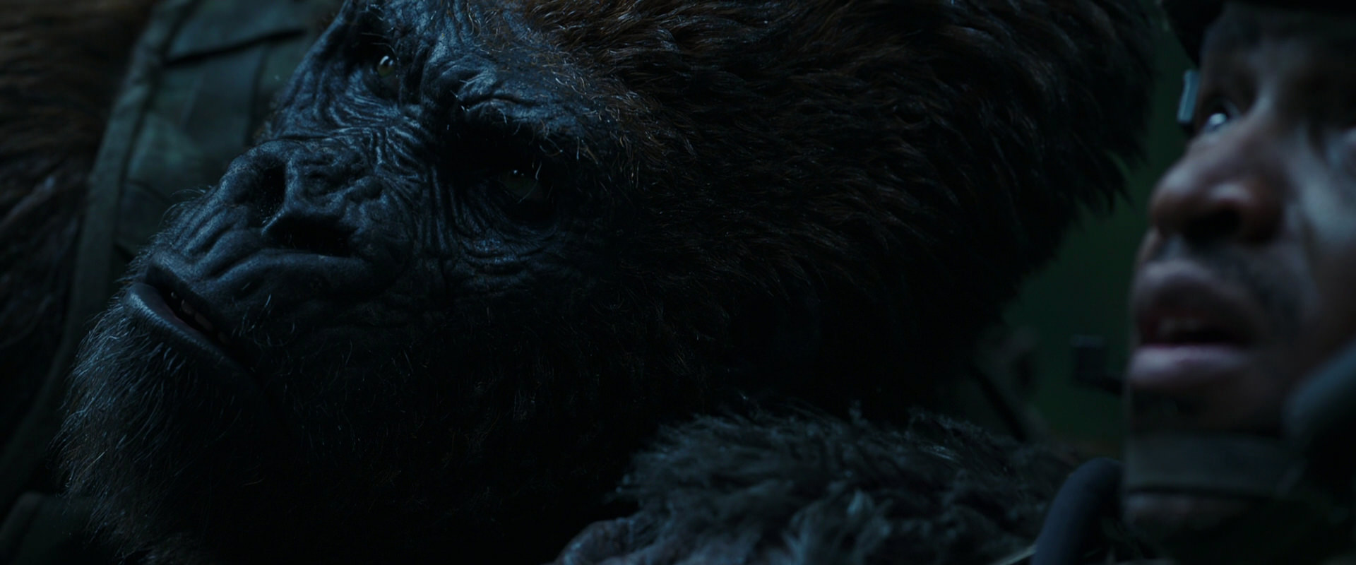 War for the Planet of the Apes (2017) screencap 171