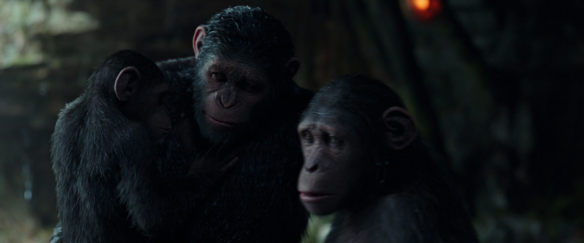 War for the Planet of the Apes (2017) screencap 1710