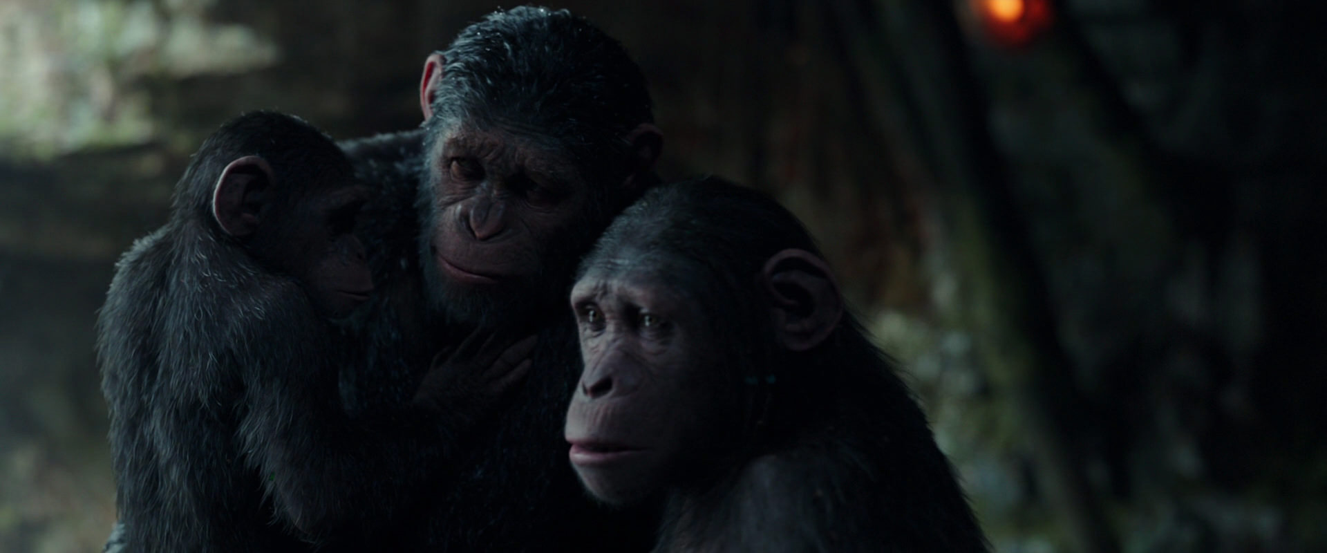 War for the Planet of the Apes (2017) movie still 1711