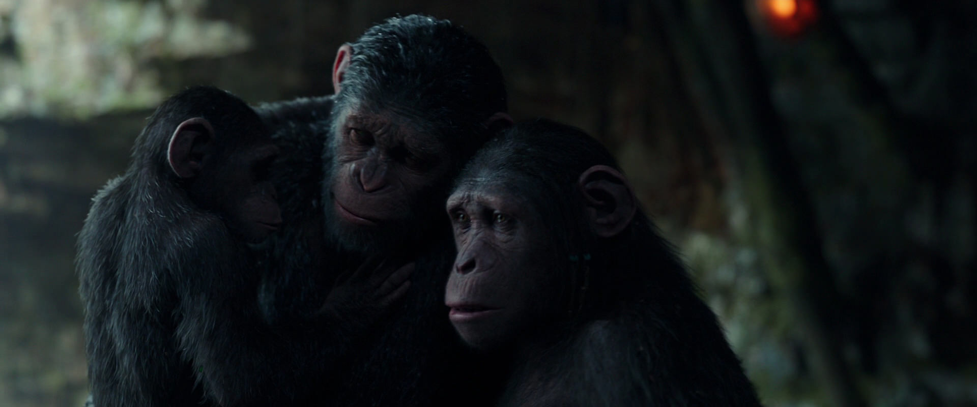 War for the Planet of the Apes (2017) HD screenshot 1712