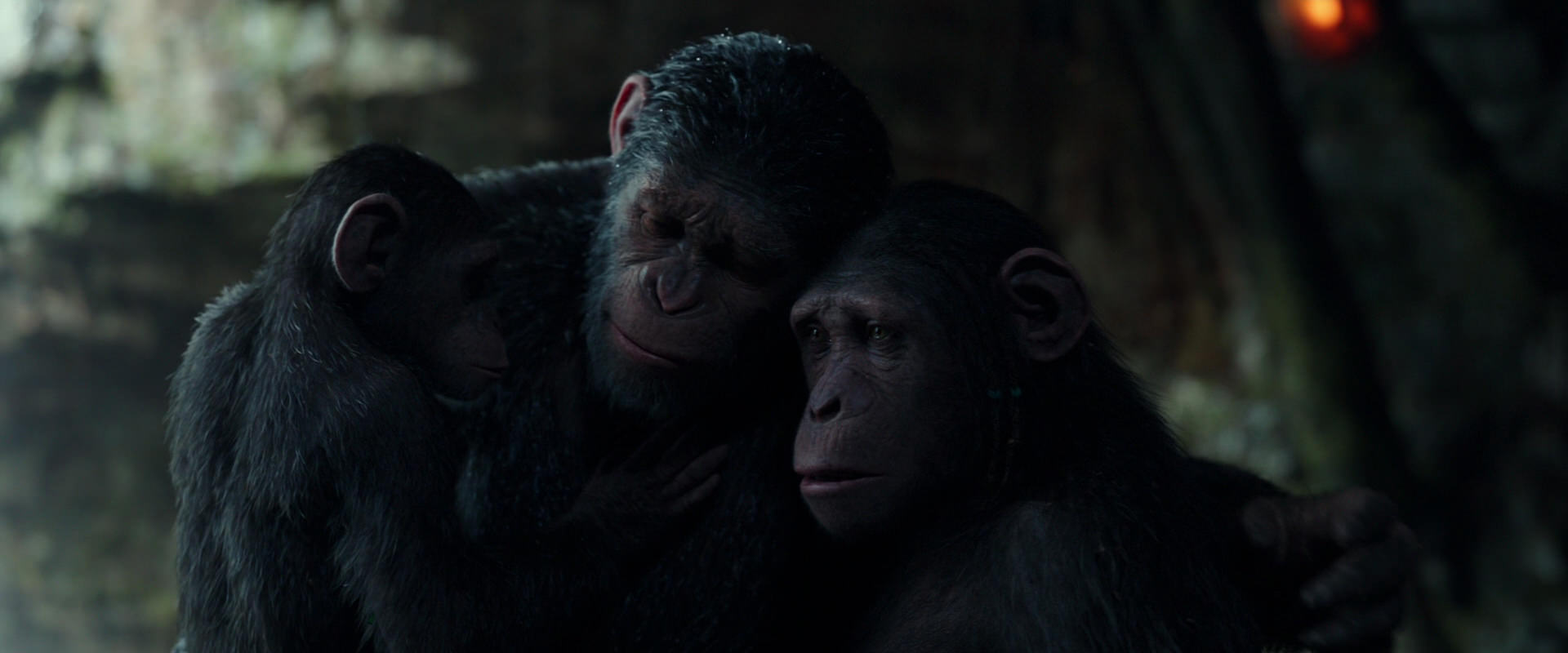 War for the Planet of the Apes (2017) screencap 1713
