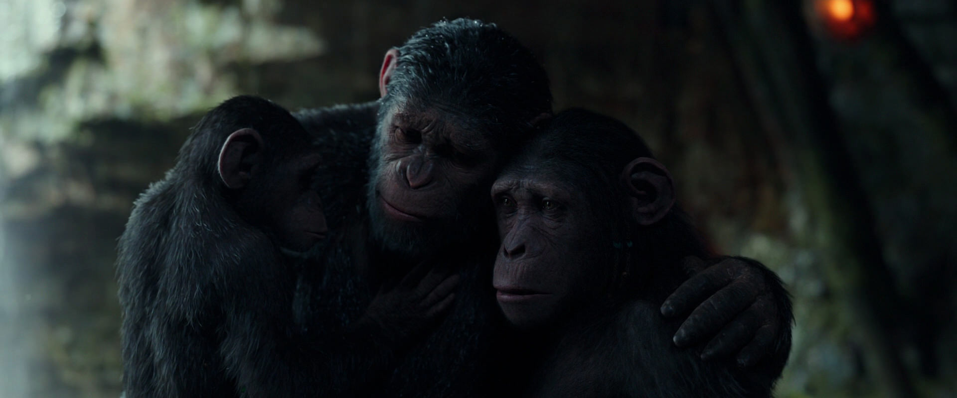 War for the Planet of the Apes (2017) movie still 1714