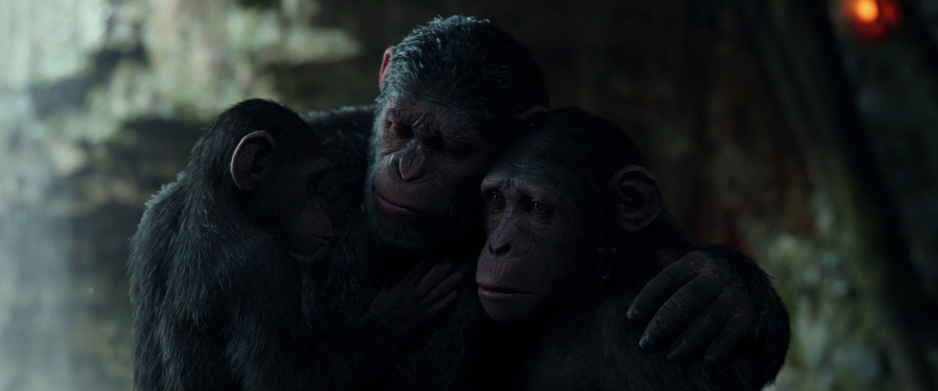 War for the Planet of the Apes (2017) HD screenshot 1715