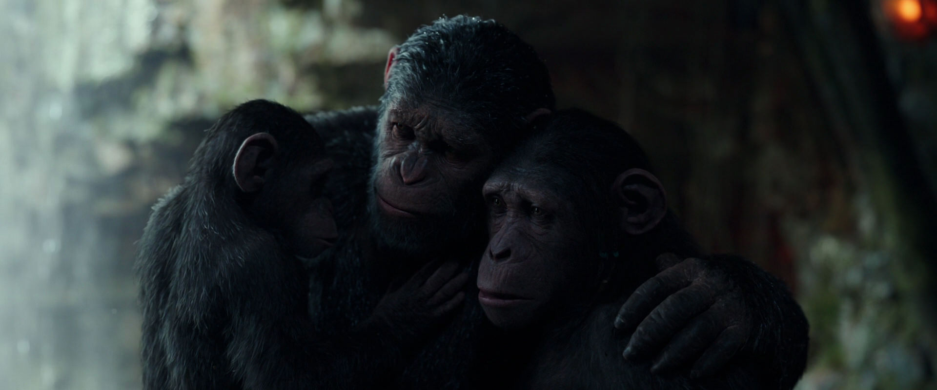 War for the Planet of the Apes (2017) screencap 1716