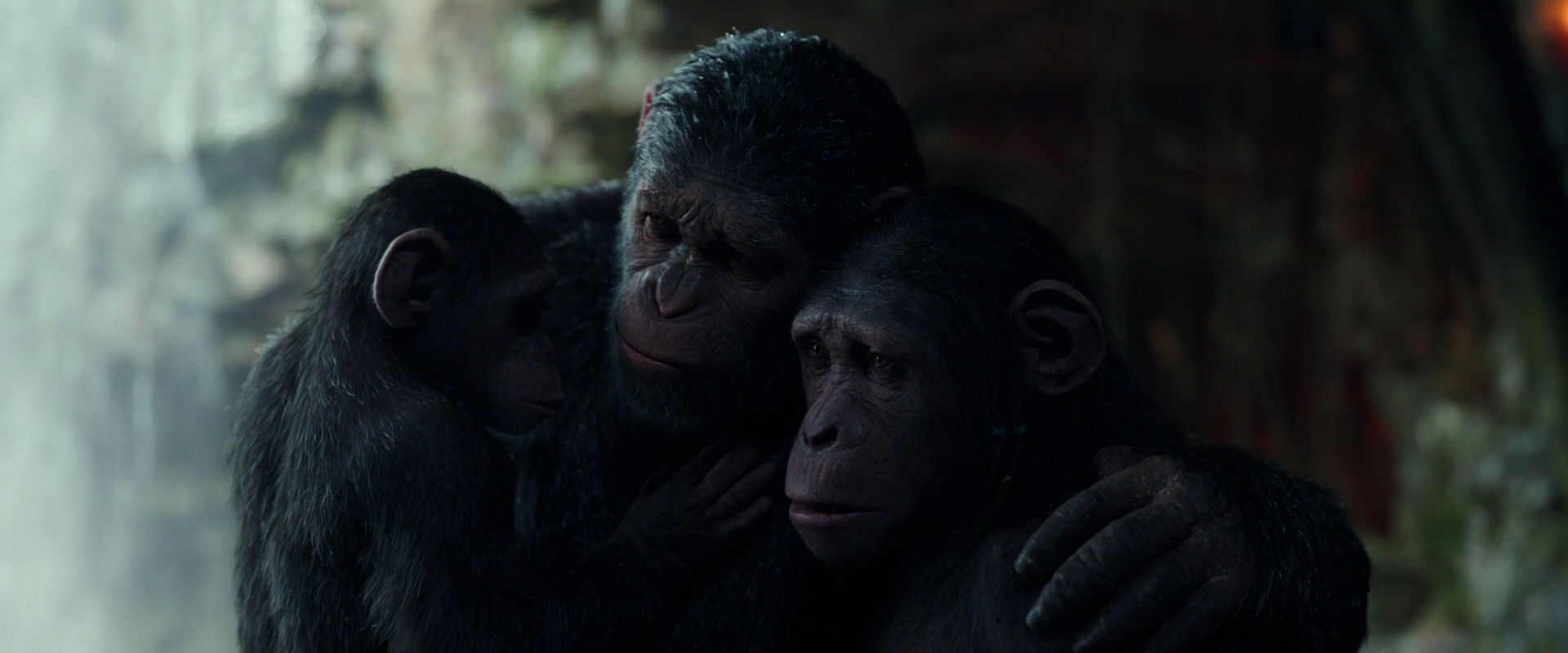 War for the Planet of the Apes (2017) movie still 1717