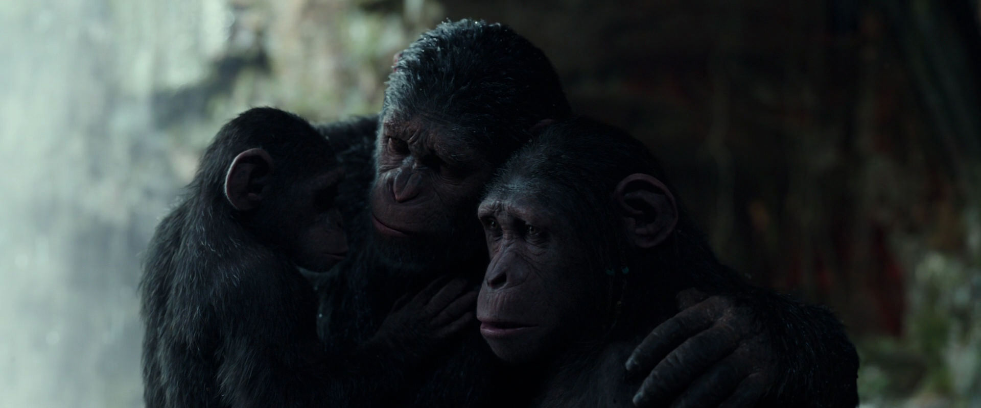 War for the Planet of the Apes (2017) HD screenshot 1718