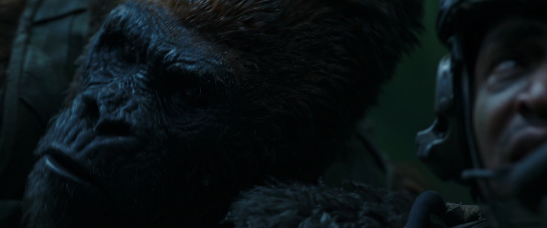 War for the Planet of the Apes (2017) movie still 172