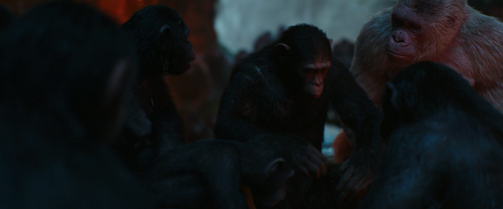 War for the Planet of the Apes (2017) HD screenshot 1733