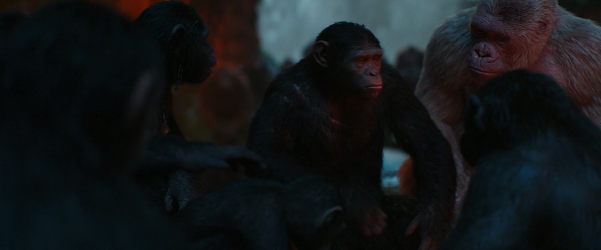 War for the Planet of the Apes (2017) screencap 1734