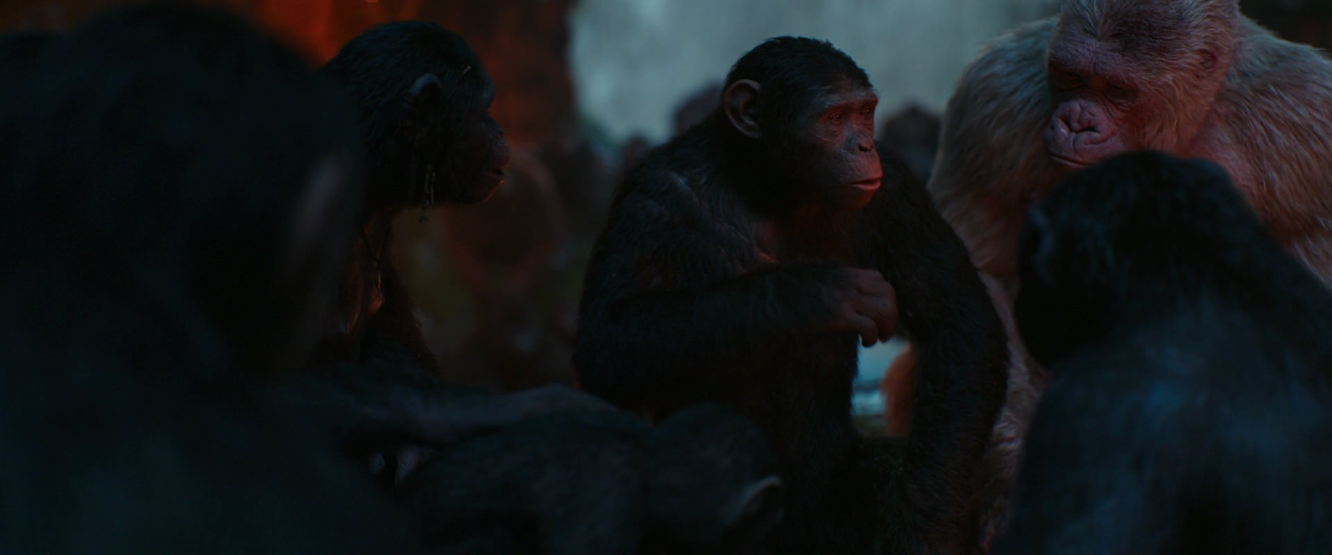 War for the Planet of the Apes (2017) movie still 1735