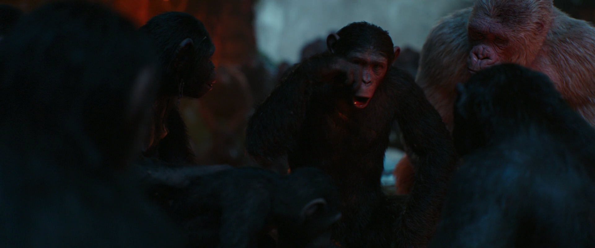 War for the Planet of the Apes (2017) HD screenshot 1736
