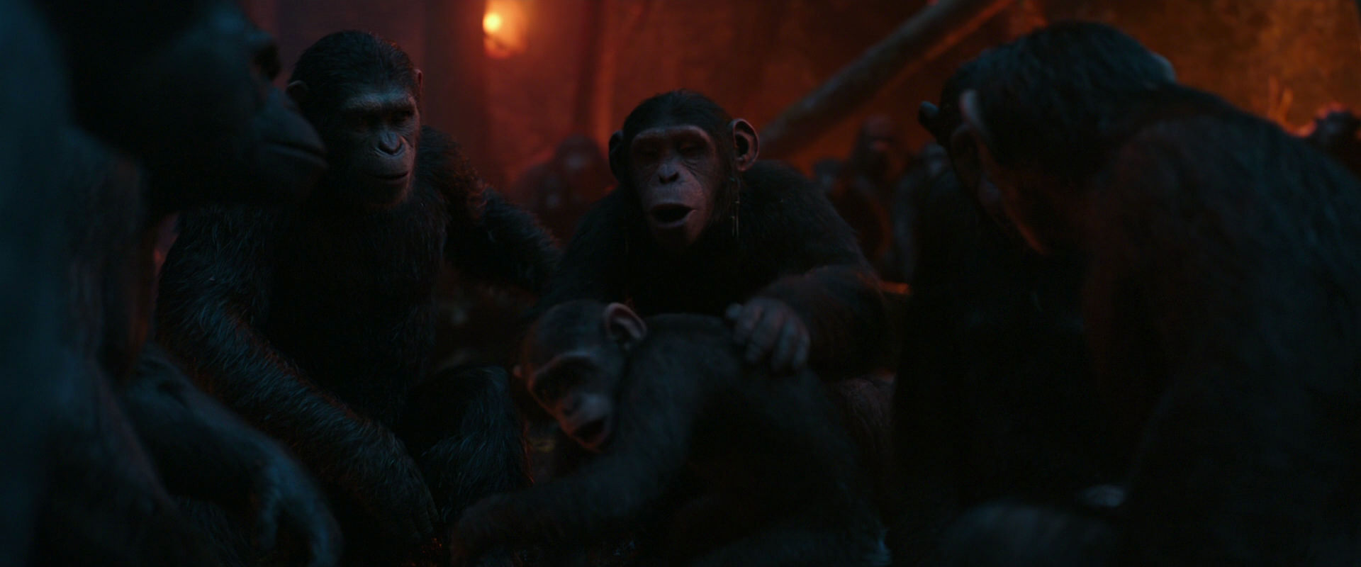 War for the Planet of the Apes (2017) movie still 1738