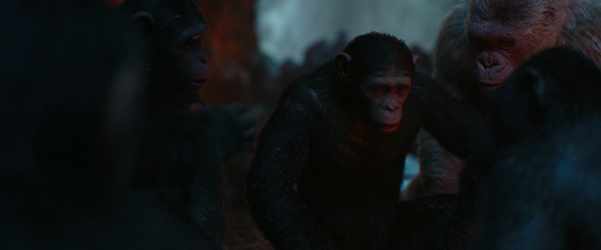 War for the Planet of the Apes (2017) movie still 1744