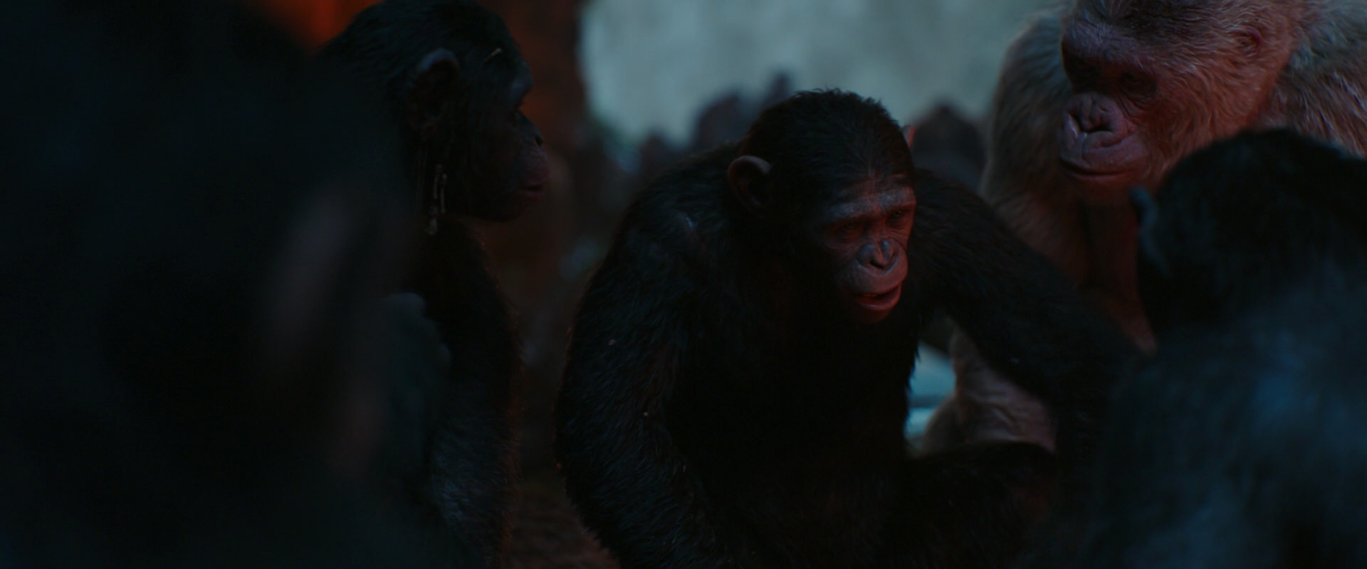 War for the Planet of the Apes (2017) HD screenshot 1745