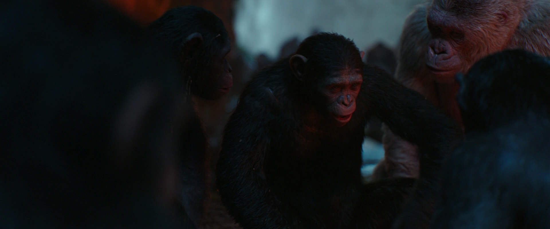 War for the Planet of the Apes (2017) screencap 1746
