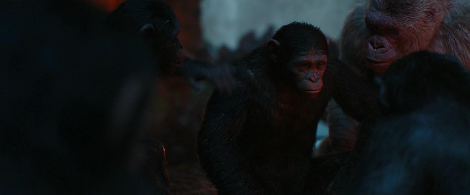 War for the Planet of the Apes (2017) movie still 1747
