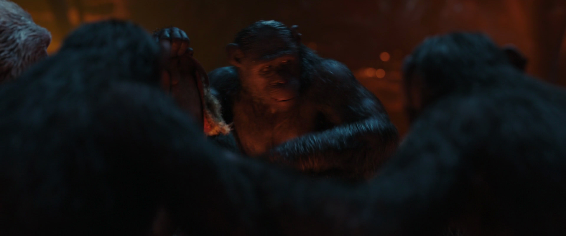 War for the Planet of the Apes (2017) HD screenshot 1751