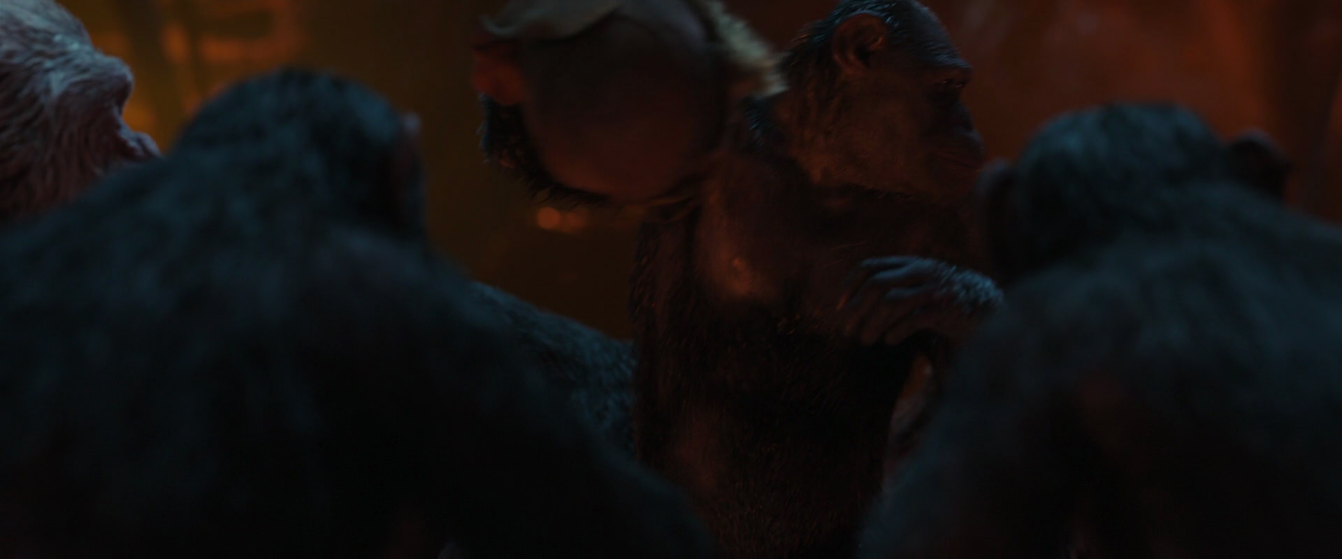 War for the Planet of the Apes (2017) screencap 1752